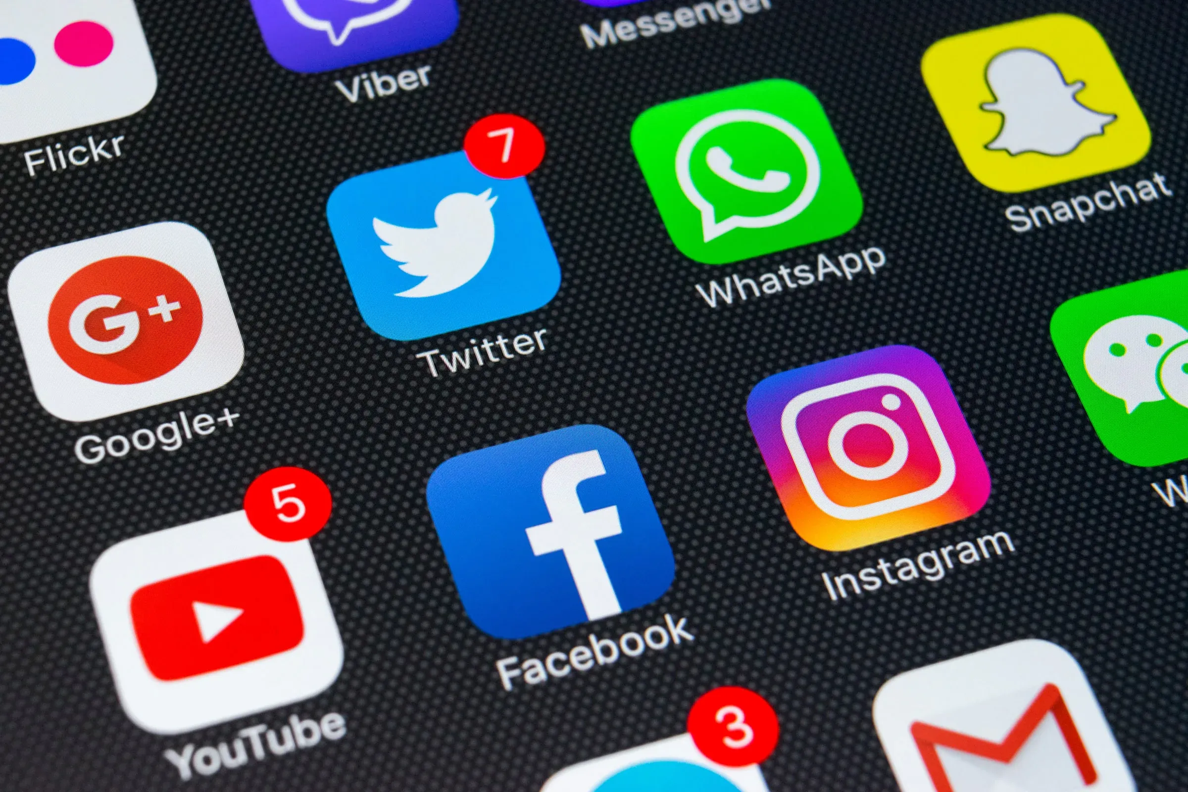 Building a Social Media Presence for Your Brand