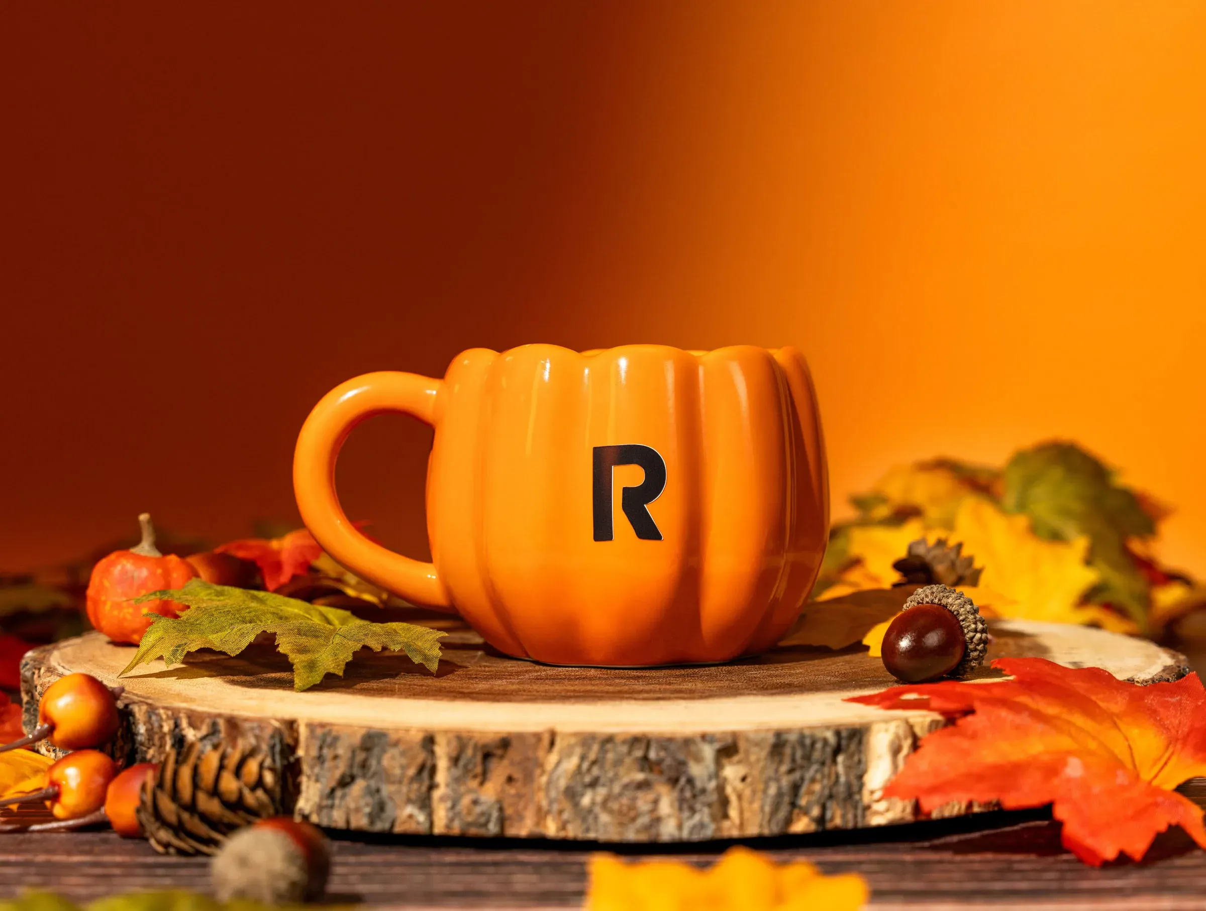 Rush Lightbox Update: A Fresh Fall Look