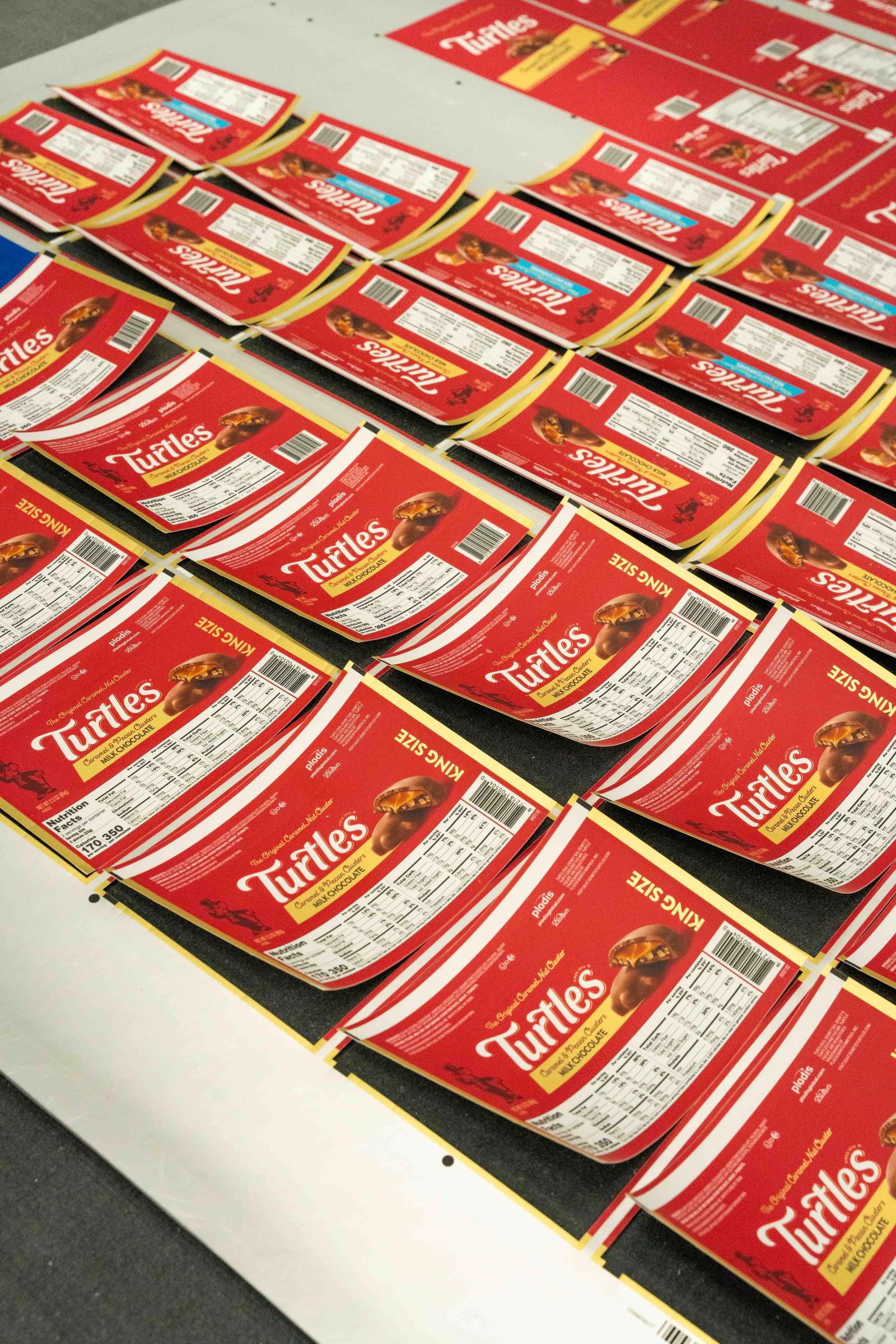 Printed and cut Turtles boxes laid out in rows